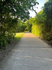 Peaceful walking trail surrounded by lush green trees and sunlight, serene outdoor pathway perfect for nature walks and relaxation in a quiet park setting