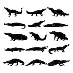 alligator silhouette set, Black & White silhouette set 