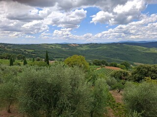 Obraz premium mountain landscape with trees in tuscany, italy