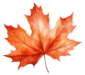 Obraz premium PNG Vibrant autumn maple leaf illustration