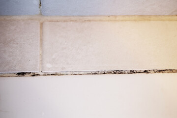 Moldy Bathroom Tile