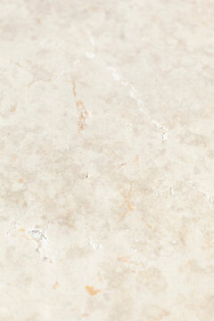 Ivory Stone Texture