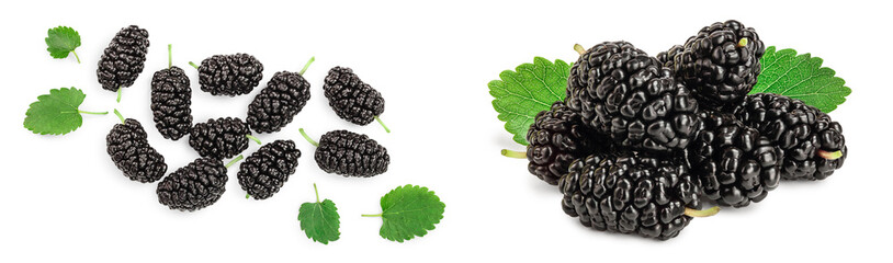Mulberry with leaf isolated on white background with copy space for your text. Top view. Flat lay