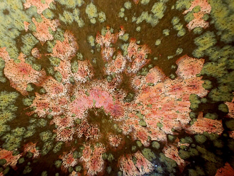 Textured background of microscopic glaze of Chinese ceramics tea cup
