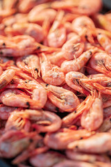 Freshly caught pink shrimp in sunlight closeup.