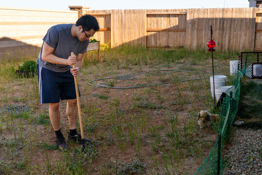 yardwork dog 