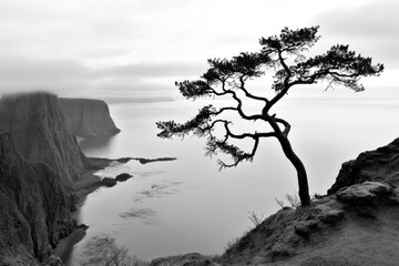Obraz premium Dramatic coastal scene with solitary pine tree.