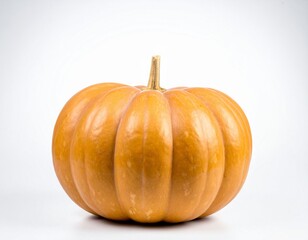 Fresh Pumpkin with Stem on White Background