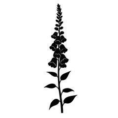 Minimalist black silhouette of foxglove plant with bell-shaped flowers on white background