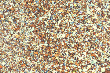 Texture and background of shells on the beach