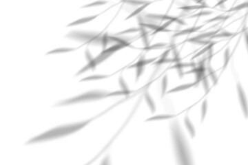 Abstract Dark Gray Branching Design, Elegant Minimalist Style