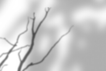 Blurred Branch Shadow Overlay:  Subtle, Monochrome, Textured Background