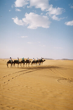 Camel caravan in desert landscape