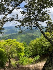 Mountain Cable Car View — Scenic Forest Hillside and City Landscape Under Cloudy Sky in Japan