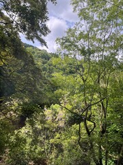 Mountain Cable Car View — Scenic Forest Hillside and City Landscape Under Cloudy Sky in Japan