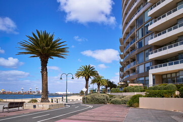 Palm-lined pathway of modern waterfront Port Melbourne development