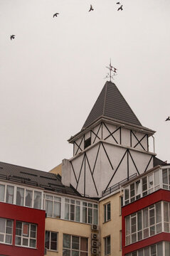 Birds over the rooftops