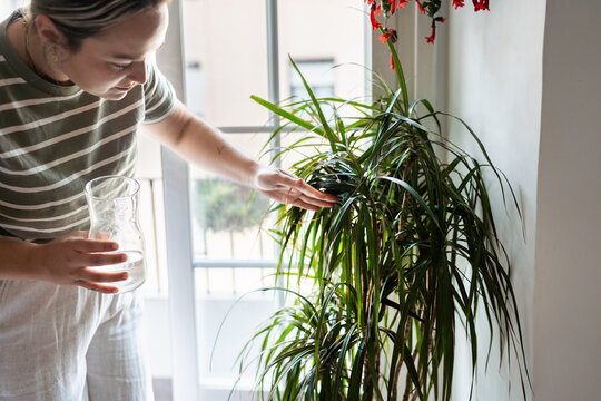 Woman checking houseplant leaves and holding a glass of water