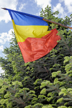 A flag and a conifer