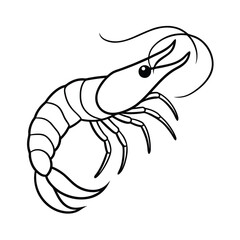 Obraz premium detailed shrimp outline vector illustration on white background 