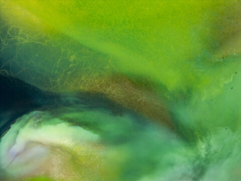 Green swirl abstract pattern