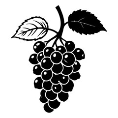 Obraz premium A striking monochrome illustration of a grapevine with lush leaves and grapes
