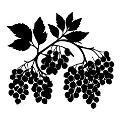 Obraz premium Black silhouette of elderberry branch with leaves and berries on white background