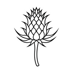 simple scotch thistle outline drawing on white background 