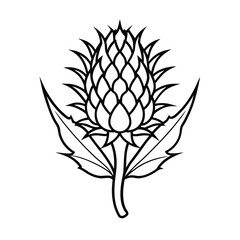 simple scotch thistle outline drawing on white background 