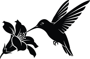 Obraz premium Hummingbird feeding on a flower silhouette