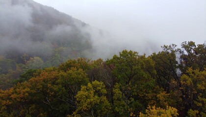 Fototapeta premium Autumn forest misty mountain landscape