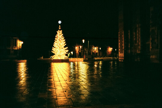 Bright Christmas Tree Illuminated at Night 
