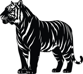 Fototapeta premium Majestic tiger standing proudly in silhouette
