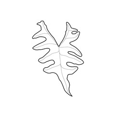 Black outline leaf of alocasia tandurusa. Isolated black line exotic leaf of alocasia jacklyn on white background.
