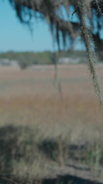 Captain Sams Creek Marsh Views, Seabrook Island SC
