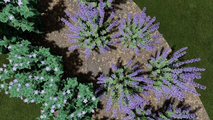 3d image of the landscape design of the home territory. Landscaping of the territory. Computer visualization of composite landscaping and landscaping solutions.