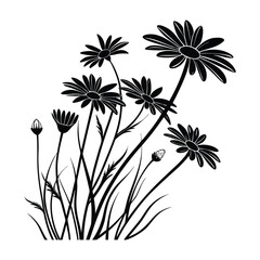Black silhouette of daisy flowers and grass against white background black and white
