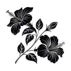 Black silhouette of hibiscus flowers and leaves on white background vector