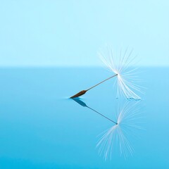 Delicate dandelion seed on a vibrant blue surface