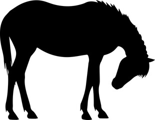  Horse head lowered grazing silhouette vector, black horse relaxed posture isolated on white background