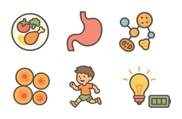 Energy Flow Illustration. Flat vector mini-illustrations food to energy conversion in colors children's