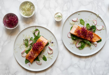 Seared salmon fillet with sprouts and radish slices