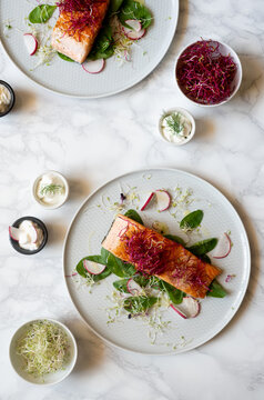 Seared salmon fillet with sprouts and radish slices