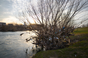 Coast and plastic bottles garbage river after flood. Pollution and environmental protection.