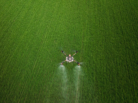Drone Spraying Crops in Vast Green Agricultural Field