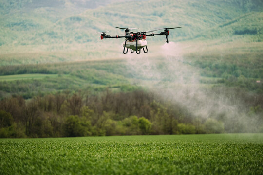 Drone Spraying Crops in Vast Green Agricultural Field