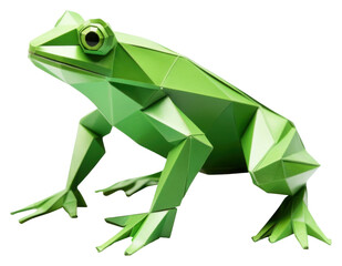 Fototapeta premium PNG Frog amphibian wildlife reptile.