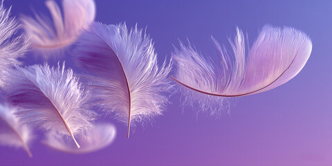 Obraz premium Light airy purple feathers drifting against soft gradient background in motion