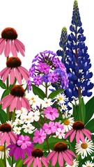 Colorful flower arrangement