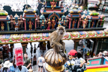 Monkey perched on colorful temple stairway in Batu Caves